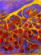 Fruit I. Shellac and oil pastel on canvas