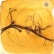 Moon Bird VIII