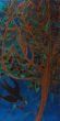 Birds IV. Shellac and oil pastel on canvas