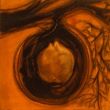 Fruit VI Shellac and oil pastel on canvas